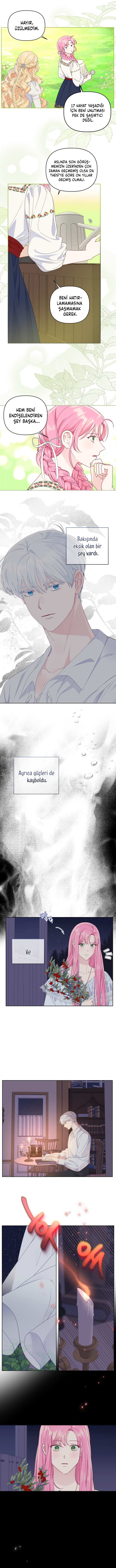 Sayfa 2